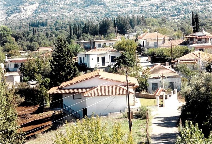panorama4